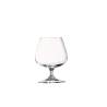 Weinbrand Cognac Arcoroc Degustationsglas cl 15