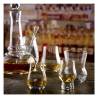 Perfect Dram Urban Bar Glas cl 9