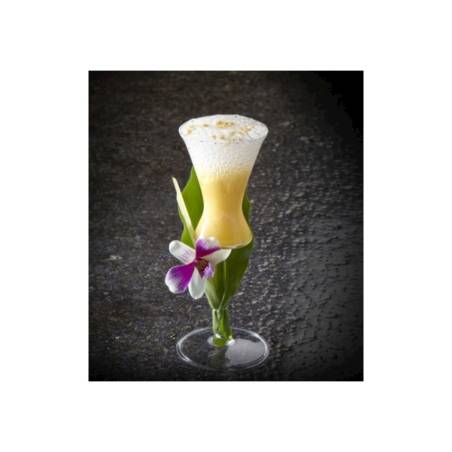 Sour 100% Chef goblet in borosilicate glass cl 10