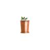 Mint Julep Urban Bar tumbler in copper-plated steel cl 41