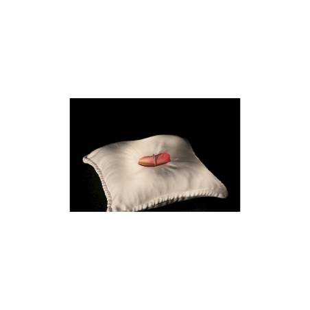 100% Chef white porcelain pillow 24x24 cm