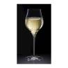 Umana Rona goblet in machine-blown glass cl 50