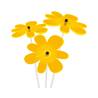 Blume Nea Friend Cazador del Sol gelb 25x8 cm