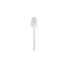 Biodegradable disposable cpla spoon cm 16.5