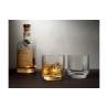 Big Top Nackt Whiskyglas cl 32