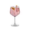 Jener Gin und Tonic Becher aus transparentem Tritan cl 75