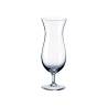 Rona Hurricane Glas cl 46.5