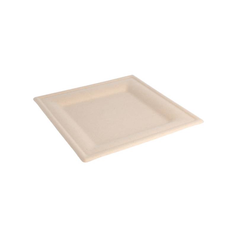 Ecru Bagasse quadratische flache Platte 20x20 cm