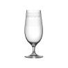 Verdot Bier 1910 Urban Bar Glas cl 46