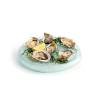 100% Chef Oysters 6 imprints glass plate 10.23x1.57 inch