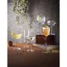 Luigi Bormioli Backdoor '20s Gin und Tonic Glas cl 80