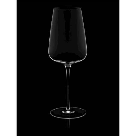 Diverto Rona wine goblet in glass cl 54