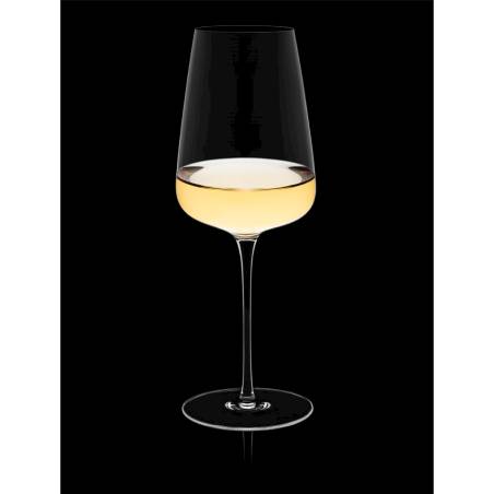 Diverto Rona wine goblet in glass cl 54