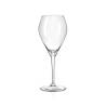 Bravissimo goblet in glass cl 42