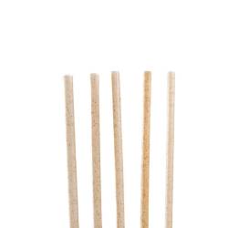 Biodegradable eco-friendly agave straws cm 21x0.6