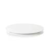 Satin white pmma round plate cm 31x2