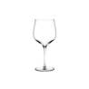 Refine Nude burgundy goblet in glass cl 62.5